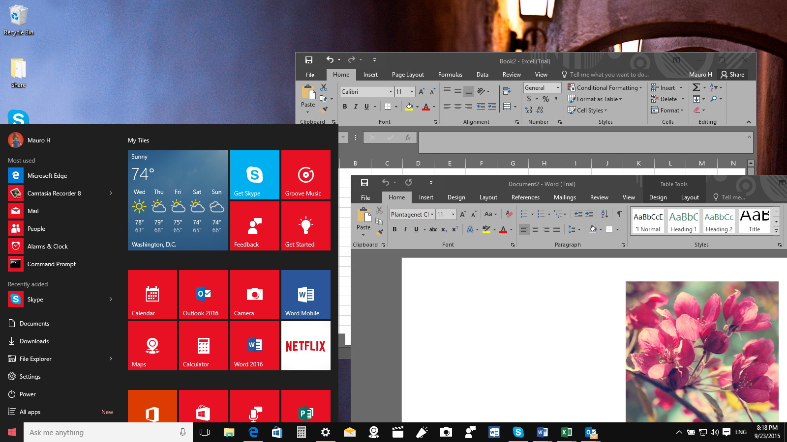 office 2016 for mac themes